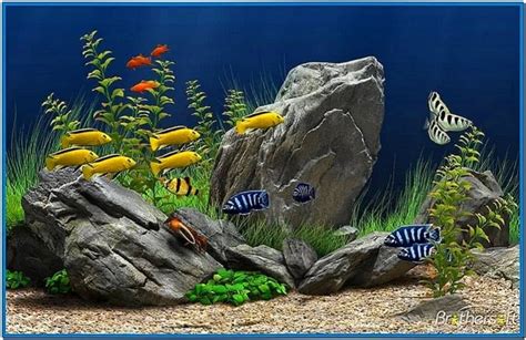 Realistic Aquarium Screensaver Freeware Download Screensaversbiz