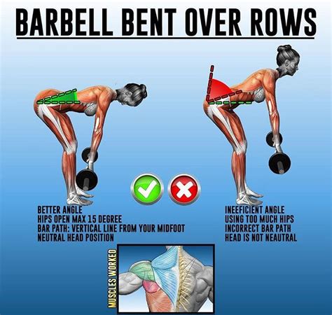 Proper Bent Over Barbell Row Form