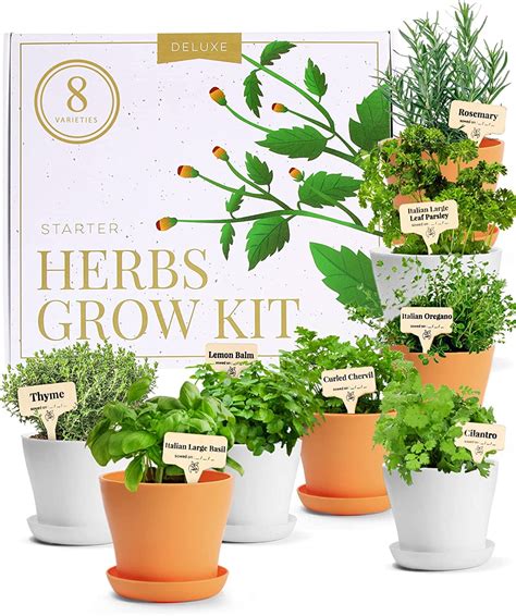 Deluxe Herb Garden Grow Kit 8 Variety Indoor And Outdoor Herb Seed