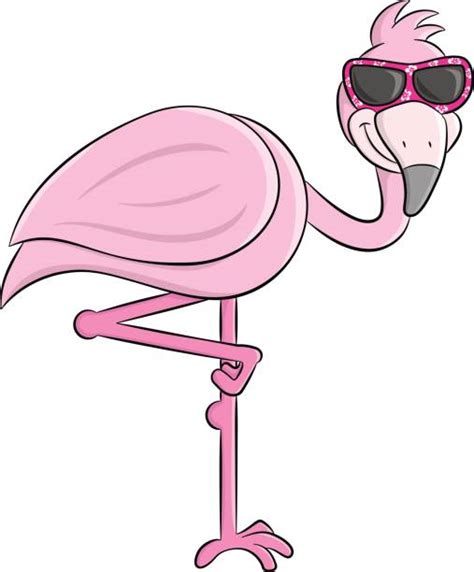 Pink Flamingo Sunglasses Illustrations Royalty Free