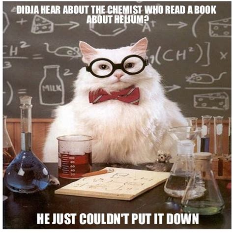 Chemistry Cat Nerdy Jokes Nerd Humor Chemistry Cat