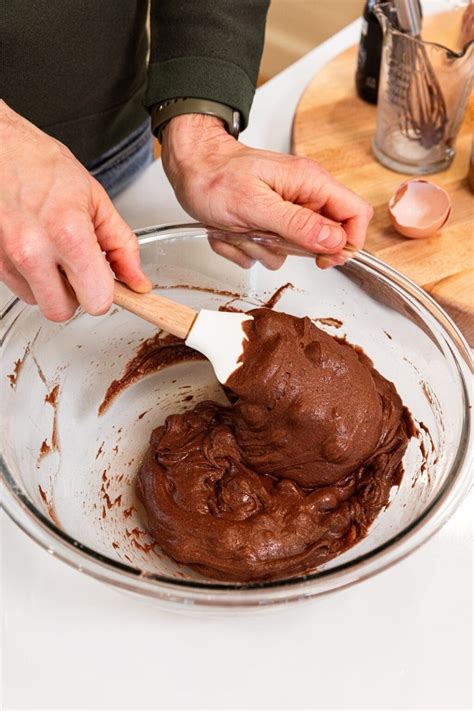 Chocolate Fudge Pudding Cake Wyse Guide