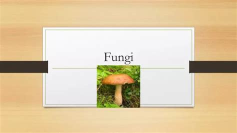 Ppt Fungi Powerpoint Presentation Free Download Id2000404