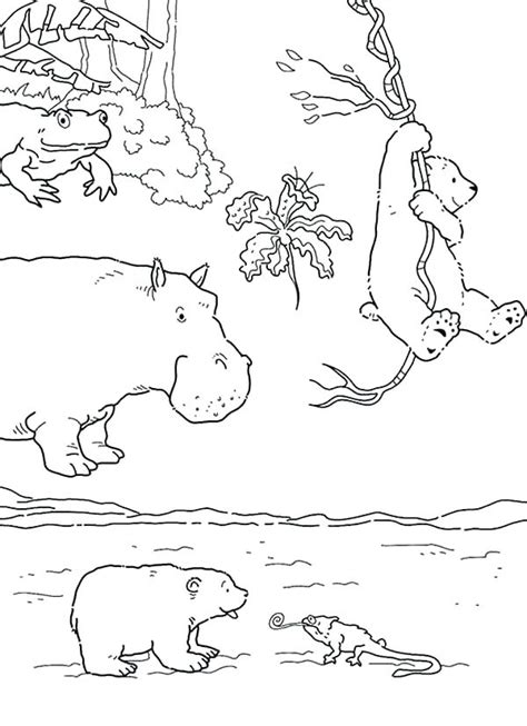 Animals for kids animal coloring pages arctic animals printables arctic animals preschool animal theme artic animals polar bear coloring page animal coloring books animal line drawings. Arctic Animals Coloring Pages For Preschoolers at ...