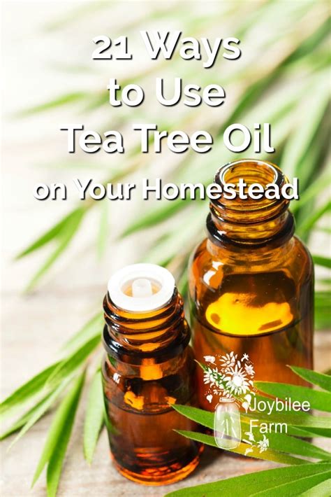 These native people crush tea tree leaves to extract the oil, then inhale it to treat coughs and colds. 21 Ways to Use Tea Tree Oil Safely and Effectively on Your ...