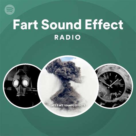 Fart Sound Effect Radio Spotify Playlist