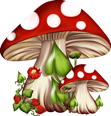 Mushroom clipart red mushroom, Mushroom red mushroom Transparent FREE for download on ...