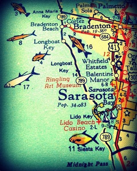 Siesta Key Florida Map Printable Maps