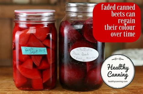 Canning Plain Beets Healthy Canning Recipe Beets Canning Food Print