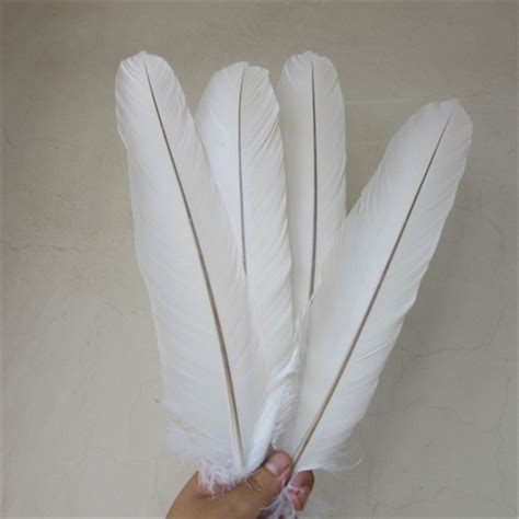 Aliexpress.com : Buy wholesale 100pcs white natural eagle ...