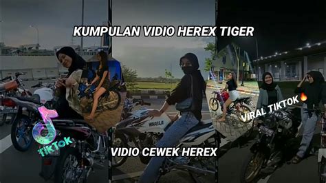 Kumpulan Vidio Herex Tiger Vidio Cewek Herex Story Wa Cb Mp Gl