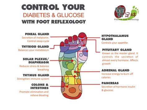 Foot Reflexology To Control And Prevent Diabetes Precious Foot Reflexology