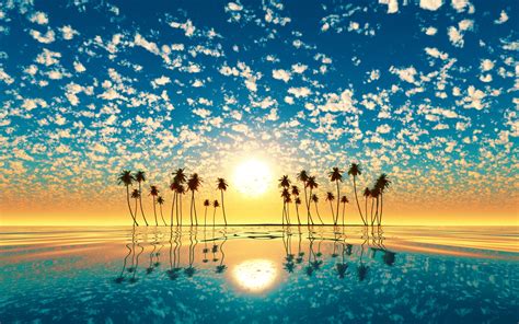 1920x1200 Palm Trees Reflection Sunset 1200p Wallpaper Hd Nature 4k