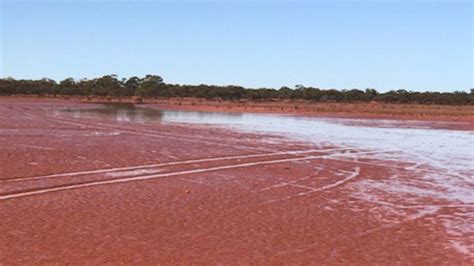 Mystery Of Lake Perkolillis Name Solved Ahead Of Red Dust Revival