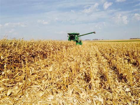 A challenging harvest brings great yields for Minnesota farmers