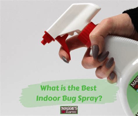 What Is The Best Indoor Bug Spray Maggies Farm Ltd