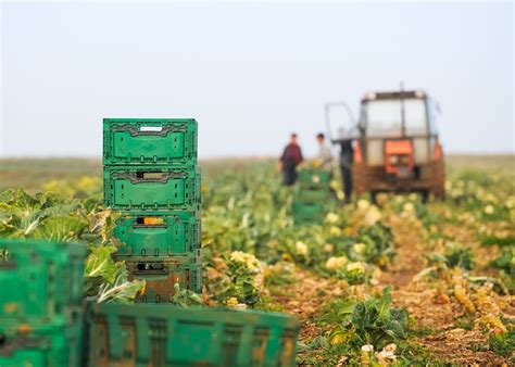L’agriculture biologique  une filière pour la création d’emplois