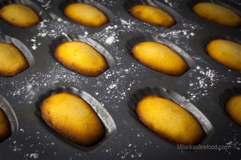 Classic French Madeleines Milankas Fine Food