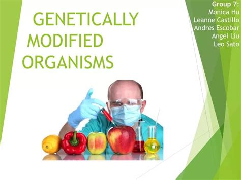Ppt Genetically Modified Organisms Powerpoint Presentation Free