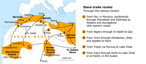 The Forgotten Slave Trade Explorers And Exploration Before Columbus