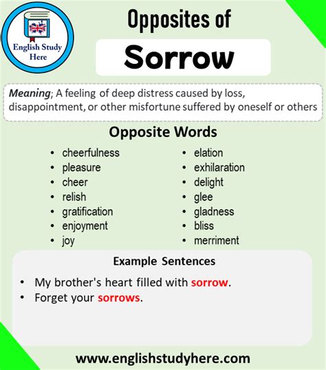 Opposite Of Sorrow Antonym Of Sorrow 17 Opposite Words For Sorrow