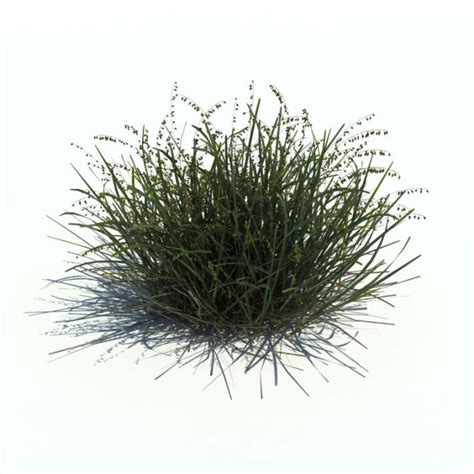 How to remove bushes & shrubs easily. Shrub Small Patch 3D model | CGTrader