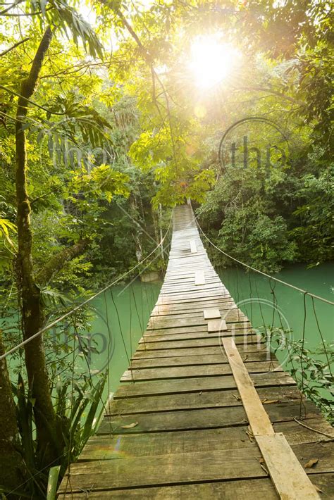 Epic Wooden Bridge Hanging Over Jungle River As Adventure Travel Scene