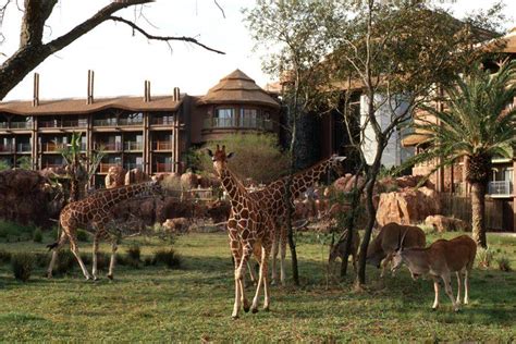 Disneys Animal Kingdom Lodge Best At Travel