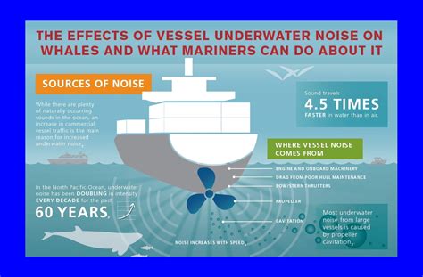 Imo Ship Noise Negative Impacts On Humans And Marine Life