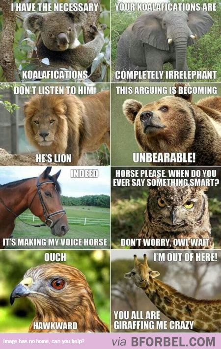 8 Animals Having A Punny Conversation Funny Animal Jokes Animal