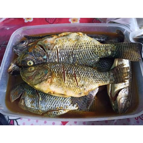 Jual Ikan Nila Segar Bumbu Kuning Shopee Indonesia
