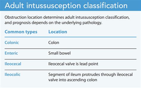 Adult Intussusception