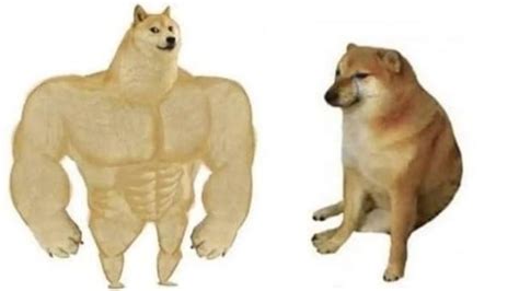 The Best 19 Swole Doge Vs Cheems Memes Español Youngwholequote