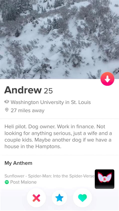 50 Funny Tinder Bios For Guys Man Of Many
