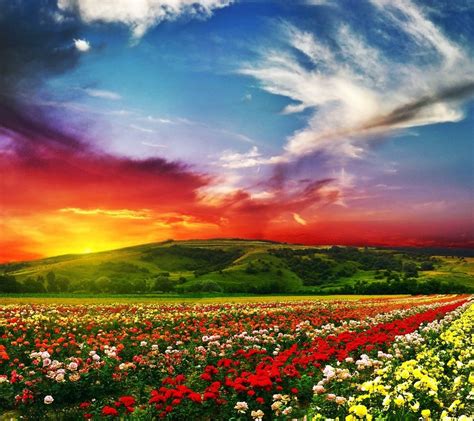 Free Download Landscapes Wallpapers Download Beautiful Landscape