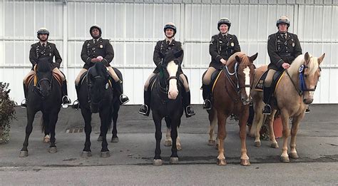 Local Mounted Police Officer Places In Top 10 At National Competition