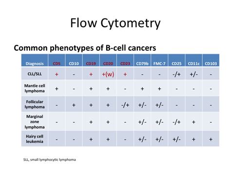 Learning From And About Cancer Chronic Lymphocytic Leukemia Or Cll By