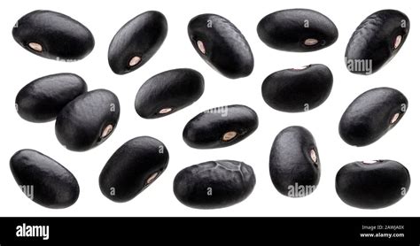Black Bean Collection Isolated On White Background Stock Photo Alamy