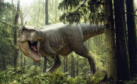 Los 10 Dinosaurios Más Peligrosos Del Mundo - Los 10 Dinosaurios Más Peligrosos - Dinosaurios.co