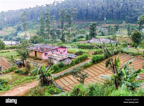 Small Rural Settlement Near Nanu Oya Sri Lanka Stock Photo Alamy