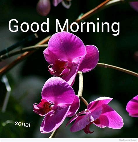 Good Morning With Purple Flower Desi Comments