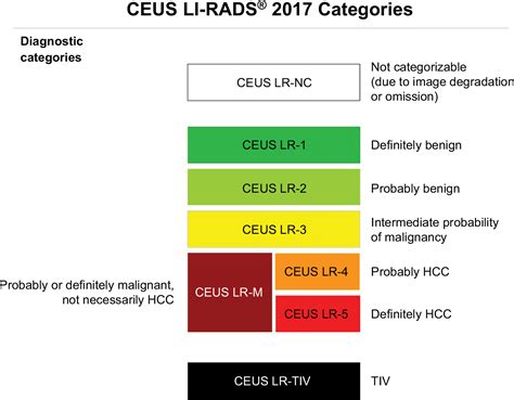 List of 1 lirads definition. Full text LI-RADS: a conceptual and historical review ...