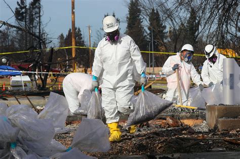 EPA Staff Objected to Agency's New Rules on Asbestos Use, Internal ...