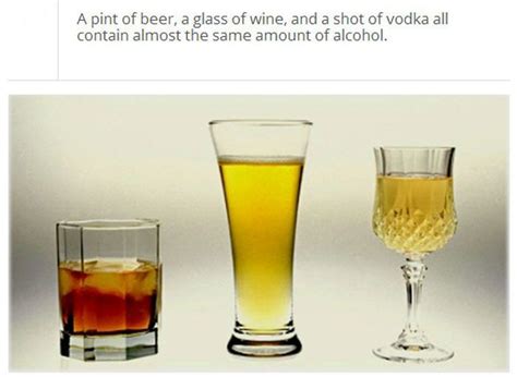 Amazing And Fun Facts About Alcohol Others