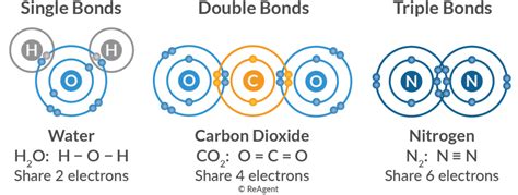 What Are The Main Types Of Chemical Bonds The Science Blog