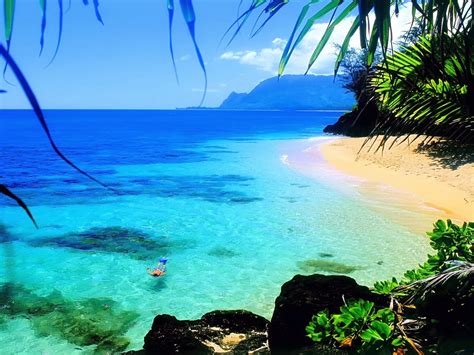 Ocean Hawaii Beach Beautiful Hd Wallpaper For Laptop