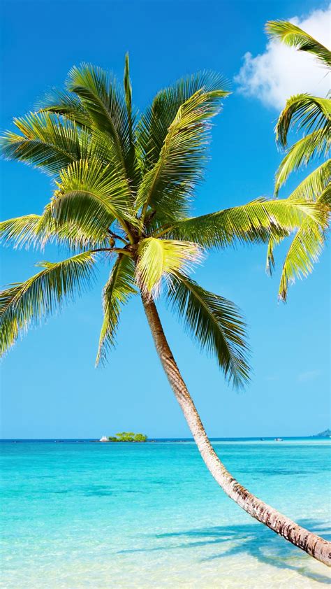 Free Download Tropical Beach 4k Ultra Hd Wallpaper 4k Wallpapernet 1080x1920 For Your Desktop