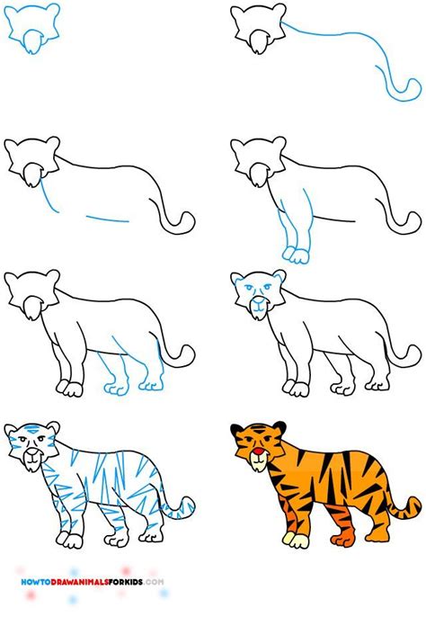 How To Draw A Tiger For Kids How To Draw Animals For Kids Draw
