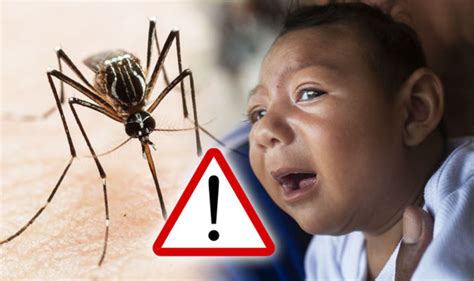 Zika Virus Which Countries Are Affected Symptoms And How It Impacts