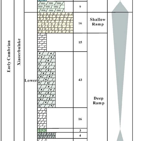 Simplified Stratigraphic Framework Of The Early Cambrian From The